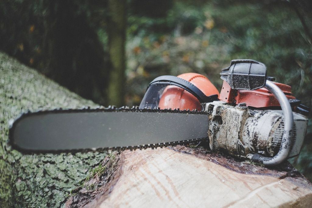 Cutting a stump down to size