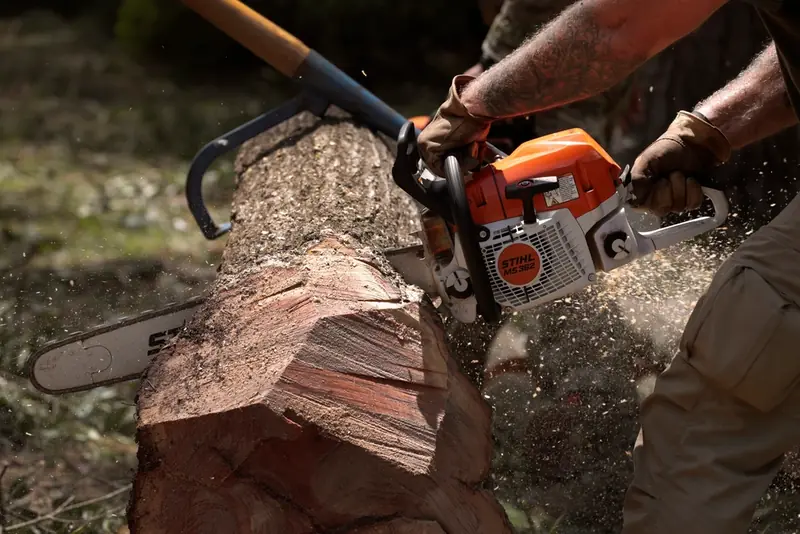 Chainsaw cutting through a large tree trunk during a removal