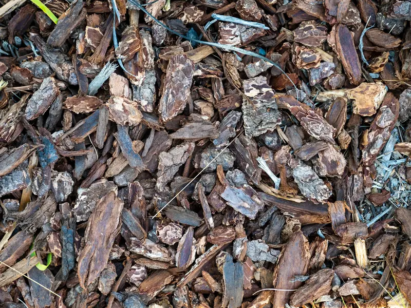 Fresh hardwood mulch spread in a landscape bed