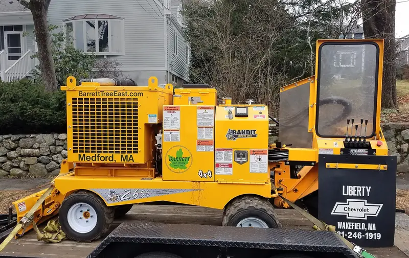 Professional stump grinder ready to grind a tree stump